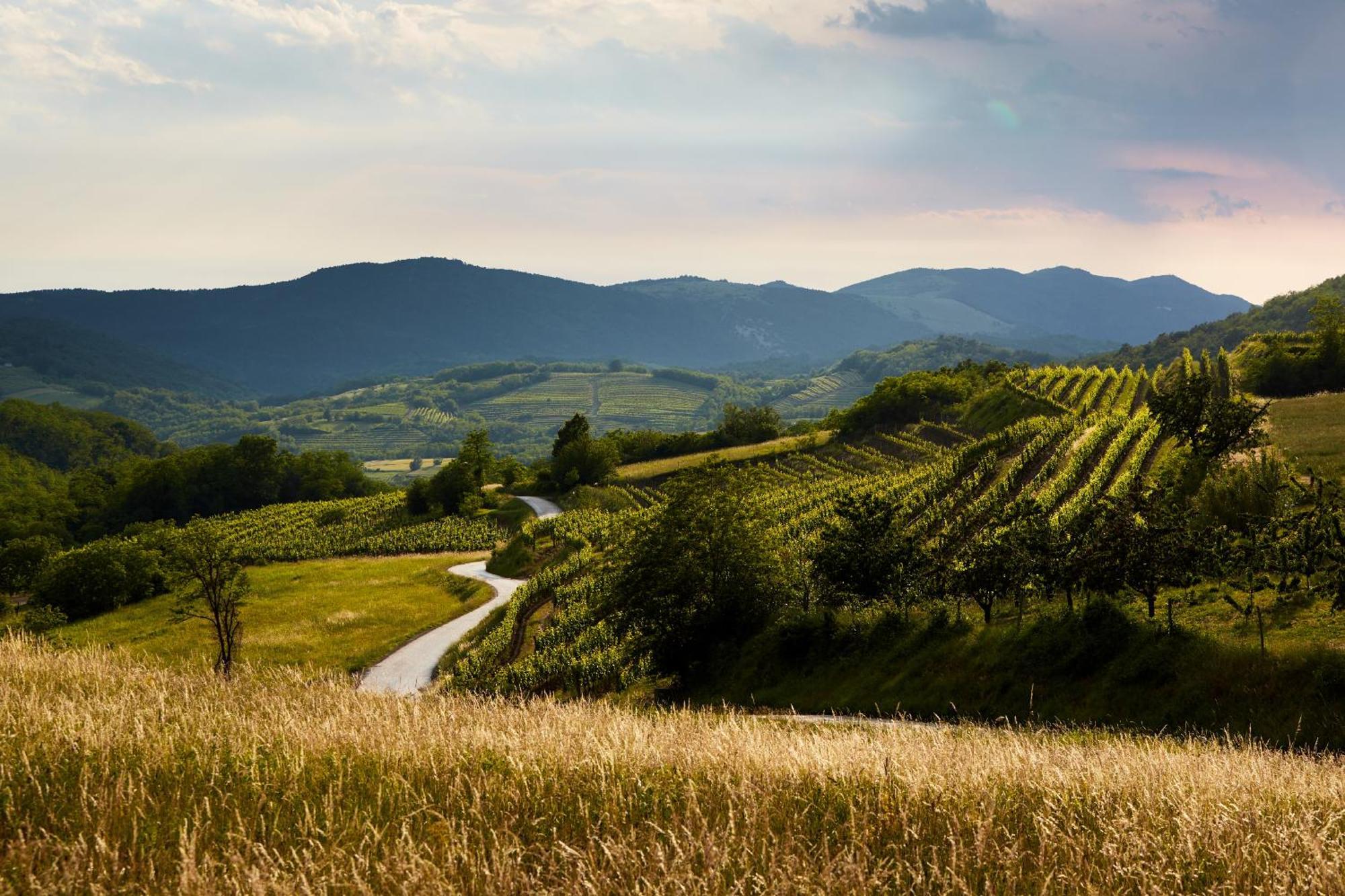 Fine Rooms Vipava Εξωτερικό φωτογραφία