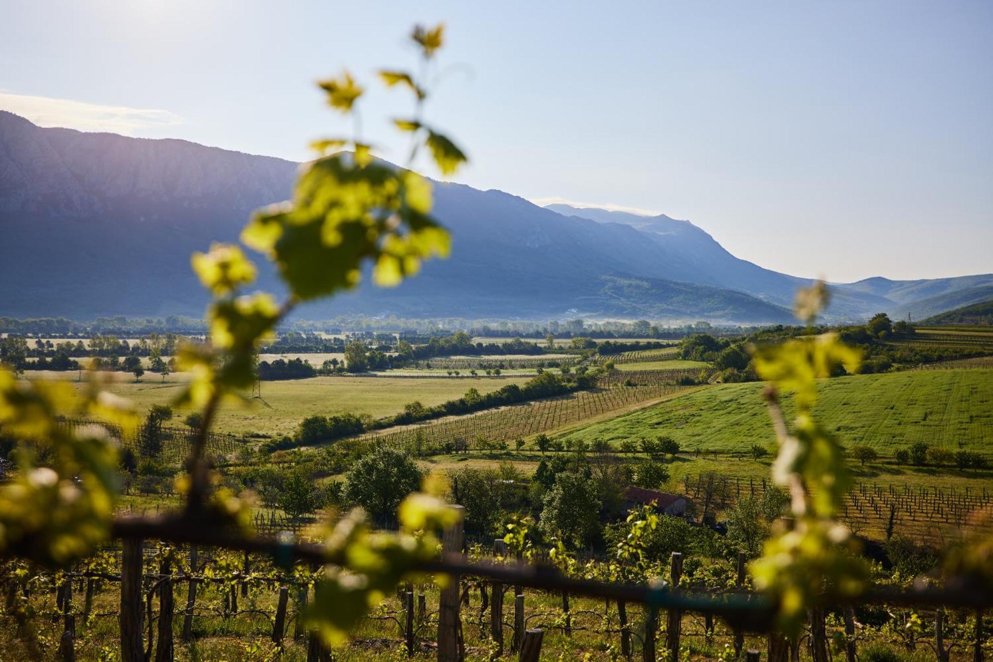 Fine Rooms Vipava Εξωτερικό φωτογραφία